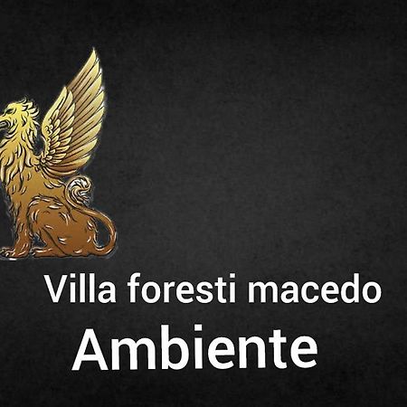 Ambiente Foresti Macedo Gramado Dış mekan fotoğraf