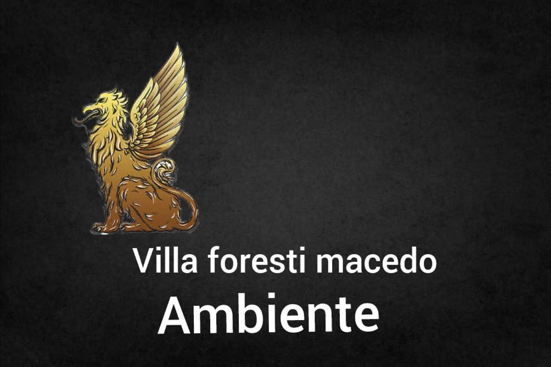 Ambiente Foresti Macedo Gramado Dış mekan fotoğraf
